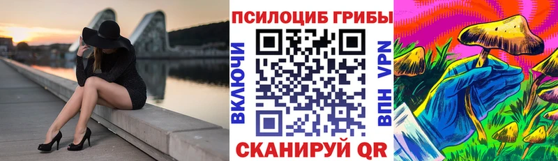 где купить ссылка на мегу зеркало Галлюциногенные грибы MAGIC MUSHROOMS Энгельс