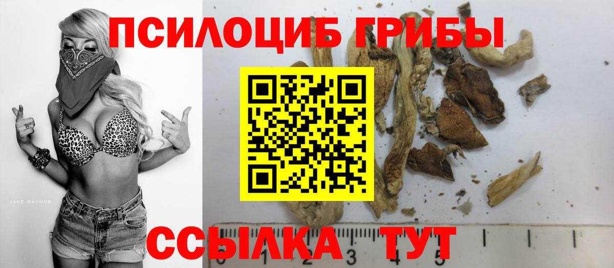 Энгельс  Псилоцибиновые грибы Cubensis  что такое наркотик  Псилоцибиновые грибы Cubensis  Вход с VPN 